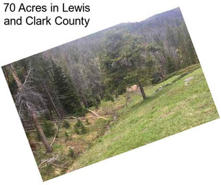 70 Acres in Lewis and Clark County