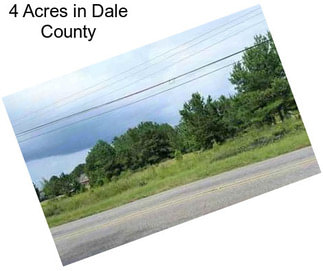 4 Acres in Dale County