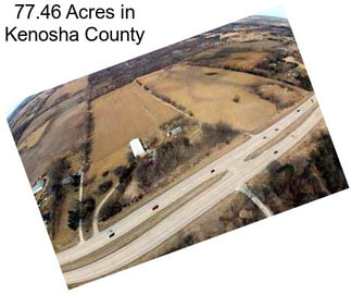 77.46 Acres in Kenosha County