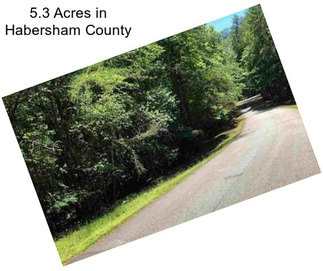 5.3 Acres in Habersham County