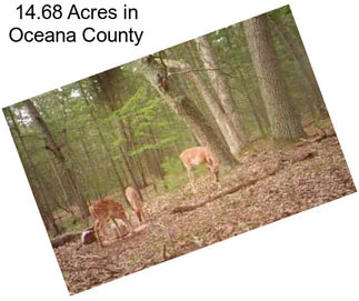 14.68 Acres in Oceana County