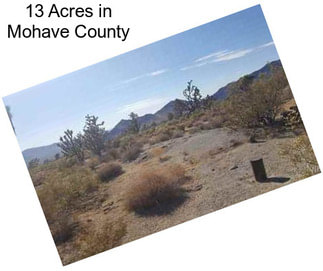 13 Acres in Mohave County