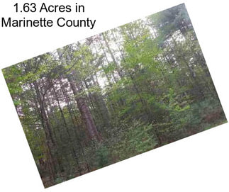 1.63 Acres in Marinette County