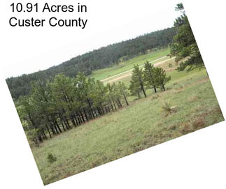 10.91 Acres in Custer County