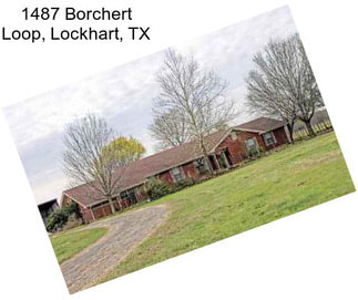 1487 Borchert Loop, Lockhart, TX