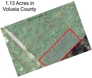 1.13 Acres in Volusia County