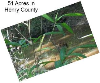 51 Acres in Henry County