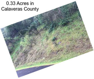 0.33 Acres in Calaveras County