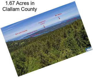 1.67 Acres in Clallam County