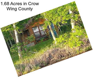 1.68 Acres in Crow Wing County