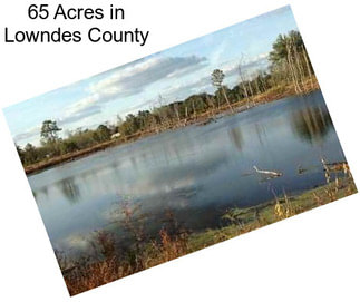 65 Acres in Lowndes County
