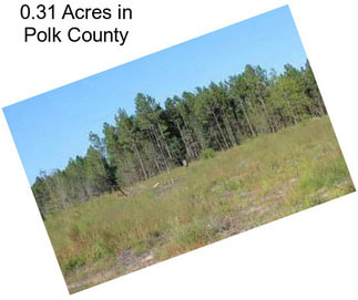 0.31 Acres in Polk County