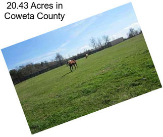 20.43 Acres in Coweta County