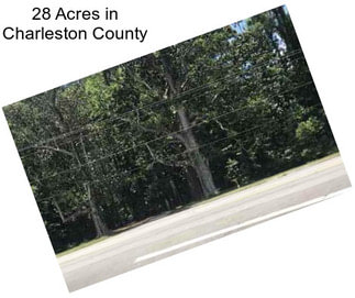 28 Acres in Charleston County