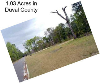 1.03 Acres in Duval County