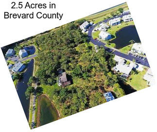 2.5 Acres in Brevard County