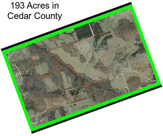 193 Acres in Cedar County