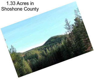 1.33 Acres in Shoshone County