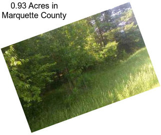 0.93 Acres in Marquette County