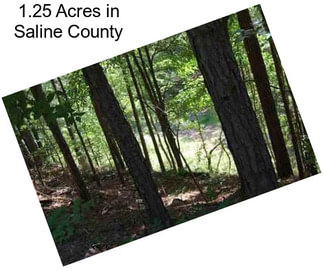 1.25 Acres in Saline County