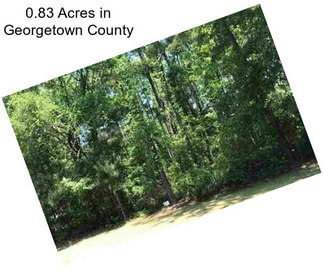 0.83 Acres in Georgetown County