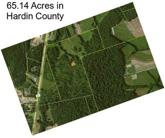 65.14 Acres in Hardin County