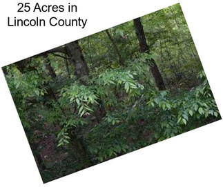 25 Acres in Lincoln County