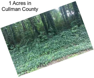 1 Acres in Cullman County