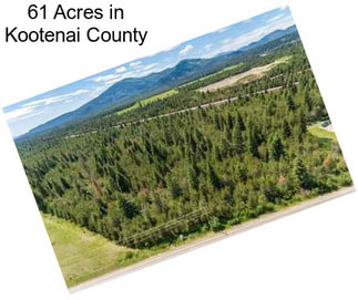 61 Acres in Kootenai County