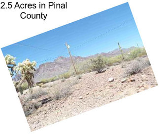 2.5 Acres in Pinal County