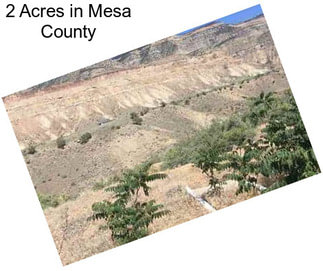 2 Acres in Mesa County