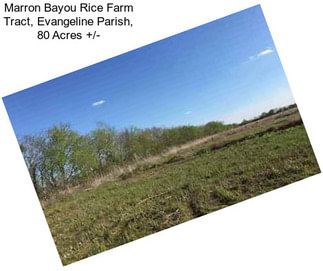 Marron Bayou Rice Farm Tract, Evangeline Parish, 80 Acres +/-