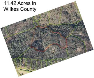 11.42 Acres in Wilkes County