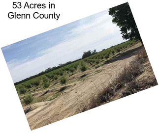 53 Acres in Glenn County