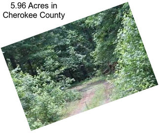 5.96 Acres in Cherokee County
