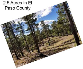 2.5 Acres in El Paso County