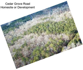 Cedar Grove Road Homesite or Development