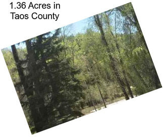1.36 Acres in Taos County