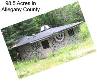 98.5 Acres in Allegany County