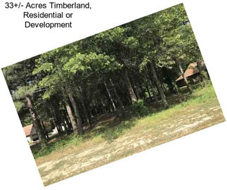 33+/- Acres Timberland, Residential or Development