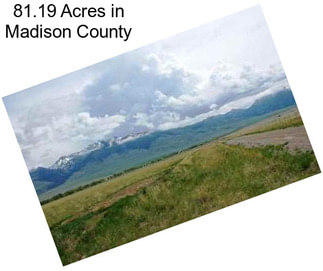 81.19 Acres in Madison County