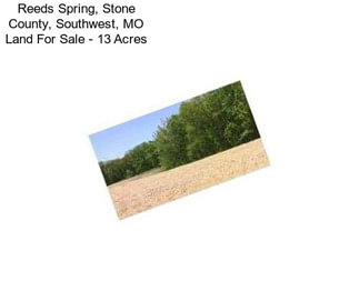 Reeds Spring, Stone County, Southwest, MO Land For Sale - 13 Acres