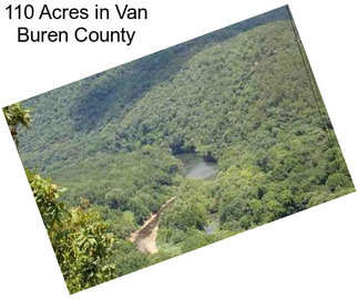 110 Acres in Van Buren County