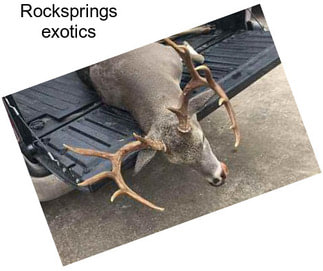 Rocksprings exotics