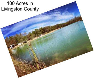 100 Acres in Livingston County