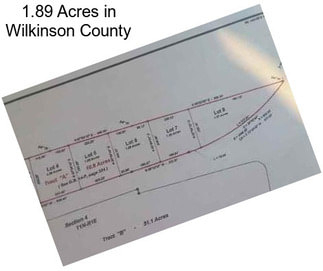 1.89 Acres in Wilkinson County
