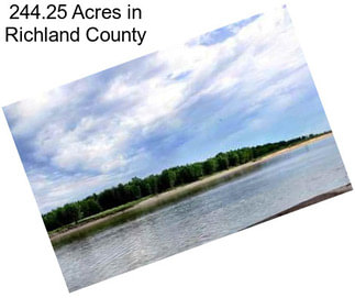 244.25 Acres in Richland County