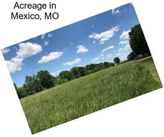 Acreage in Mexico, MO