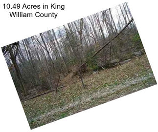 10.49 Acres in King William County