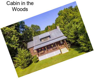 Cabin in the Woods